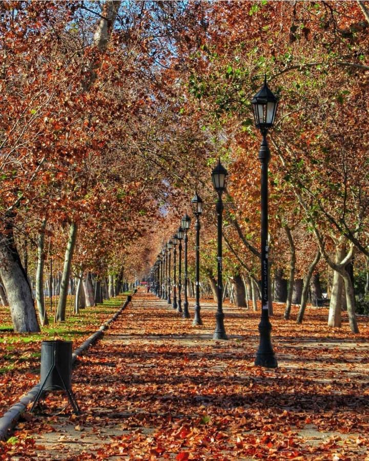 Bed & Breakfast Lastarria Σαντιάγκο Εξωτερικό φωτογραφία